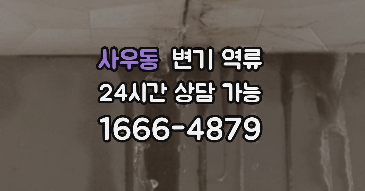 사우동 변기 역류