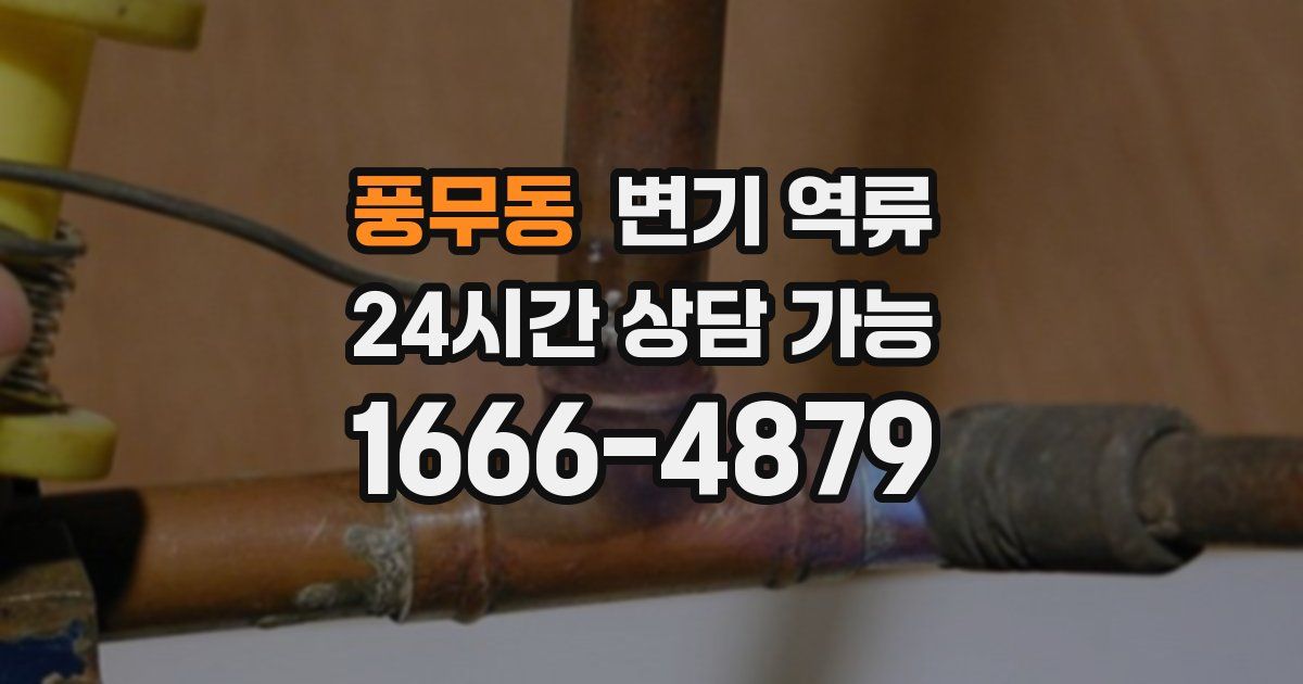 풍무동 변기 역류