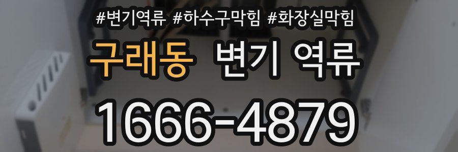 구래동 변기 역류