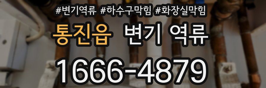 통진읍 변기 역류