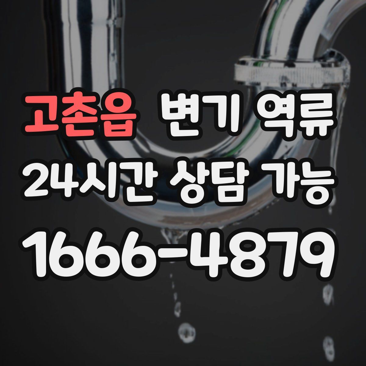 고촌읍 변기 역류