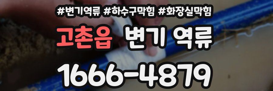 고촌읍 변기 역류