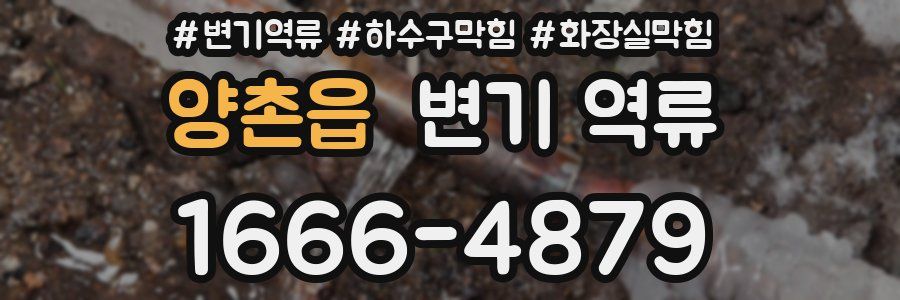 양촌읍 변기 역류