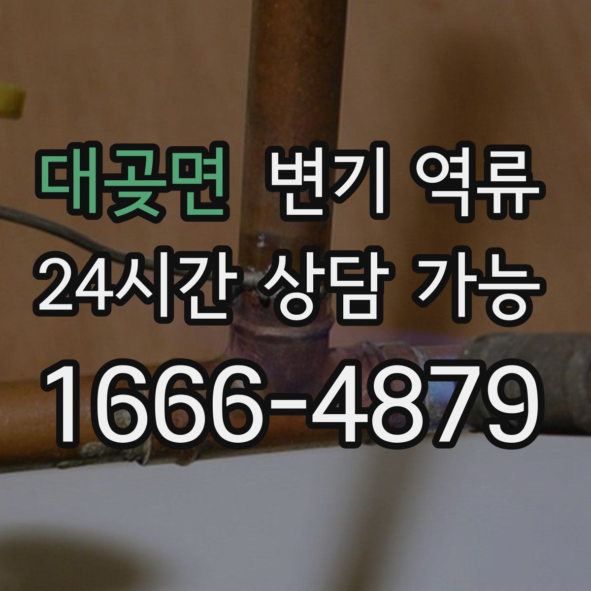 대곶면 변기 역류