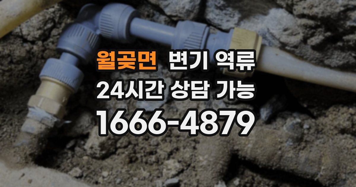 월곶면 변기 역류