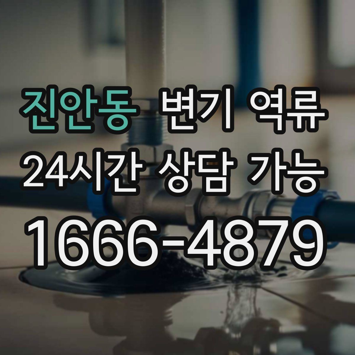 진안동 변기 역류 한 세대만 발생할 때와 여러 세대 발생할 때 차이
