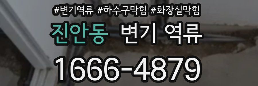 진안동 변기 역류