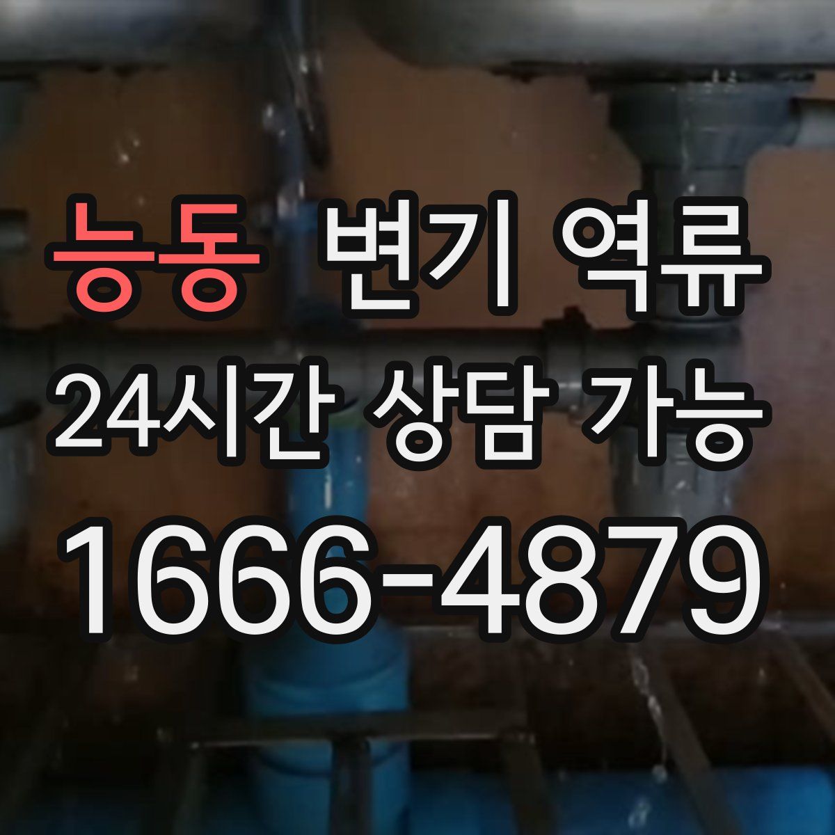 능동 변기 역류