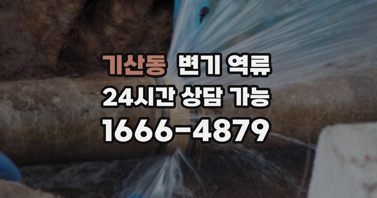 기산동 변기 역류