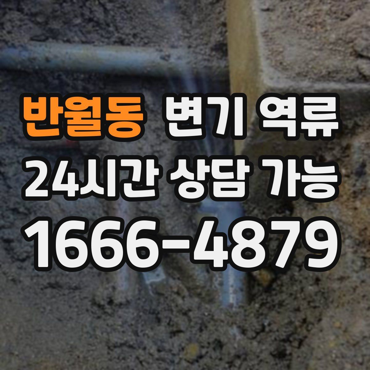 반월동 변기 역류