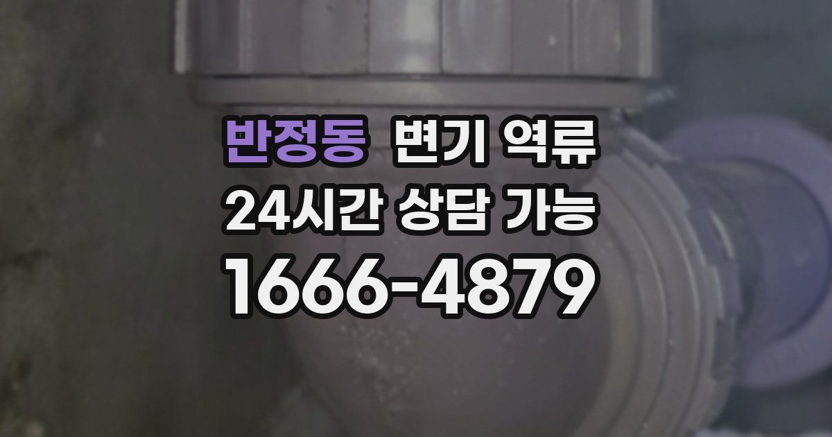 반정동 변기 역류