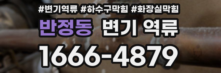 반정동 변기 역류