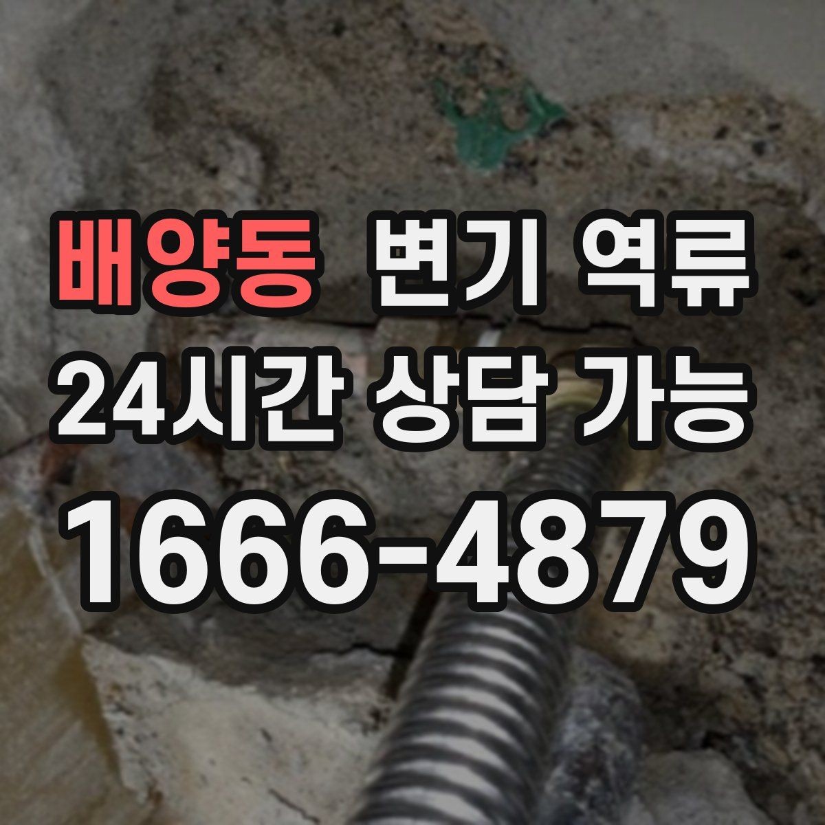 배양동 변기 역류 음식물·기름이 원인일 때 나타나는 특징
