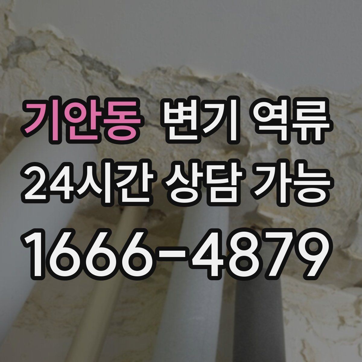 기안동 변기 역류 변기에 버리면 안 되는 것 깔끔하게 정리