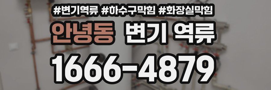 안녕동 변기 역류