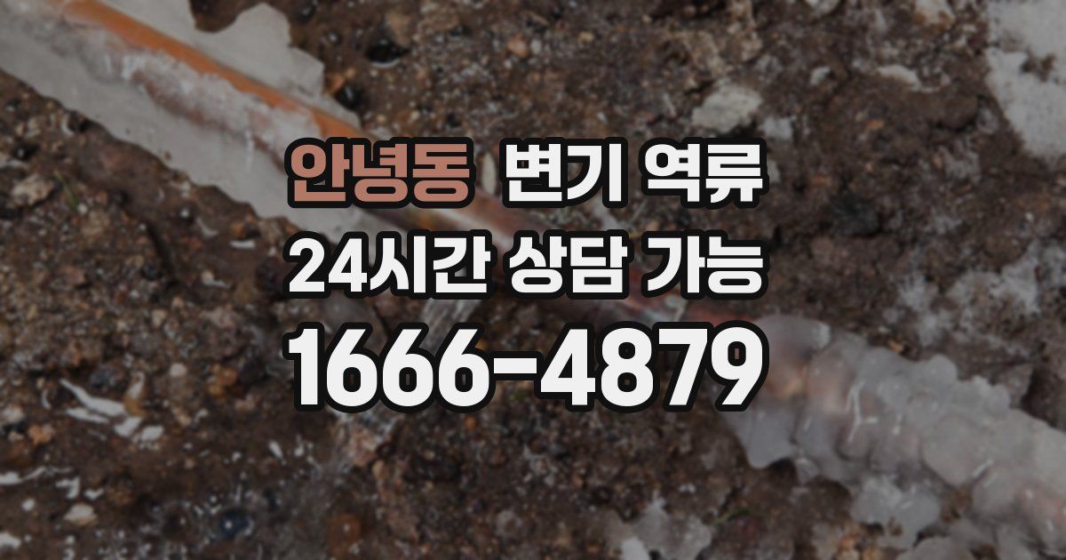 안녕동 변기 역류