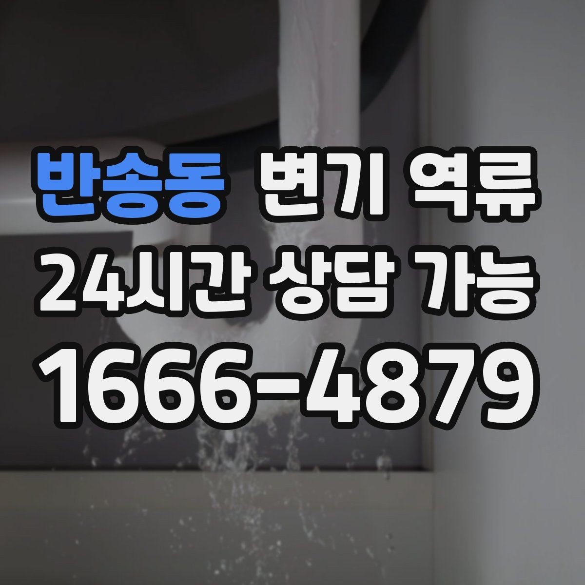 반송동 변기 역류 공용 배관이면 관리사무소에 먼저 알려야 할까