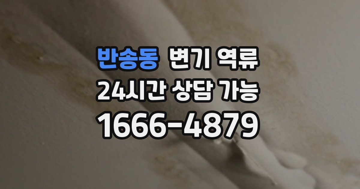 반송동 변기 역류