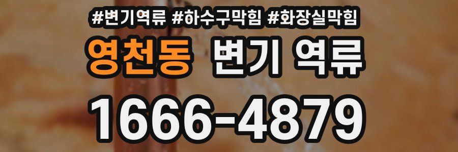 영천동 변기 역류