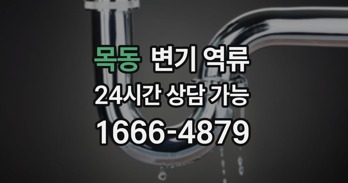 목동 변기 역류