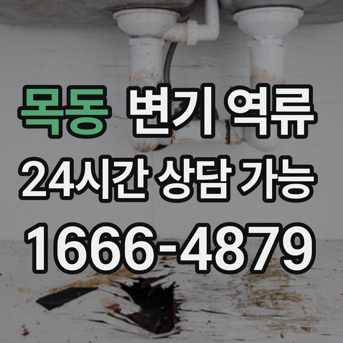 목동 변기 역류