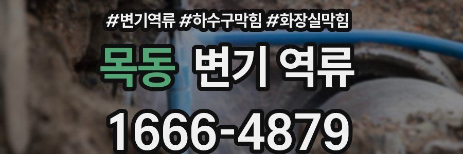 목동 변기 역류