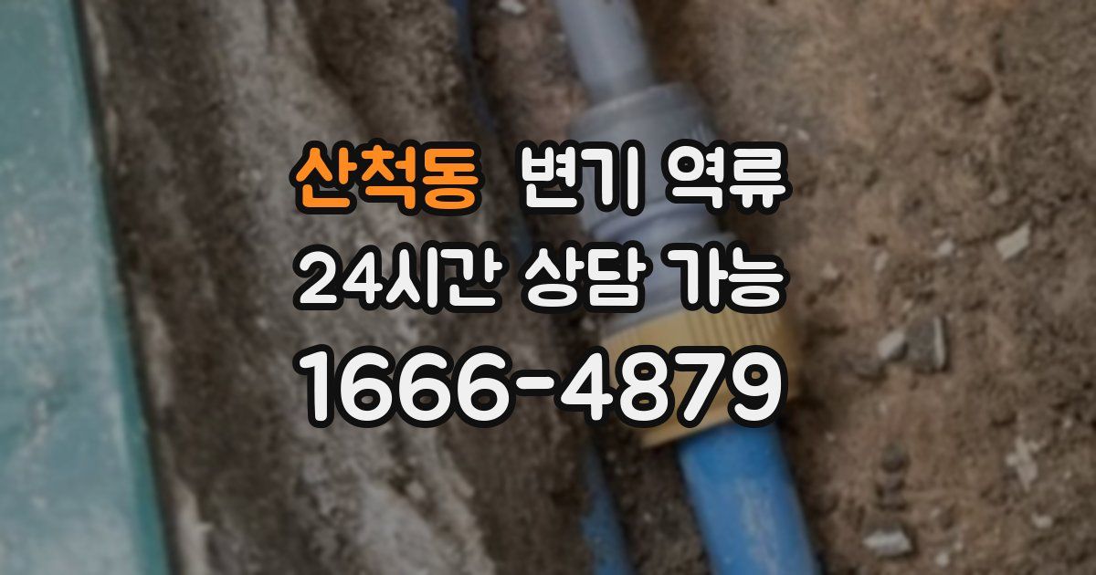 산척동 변기 역류