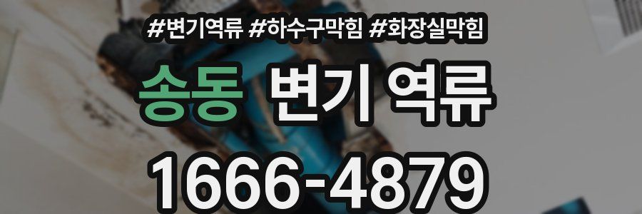 송동 변기 역류