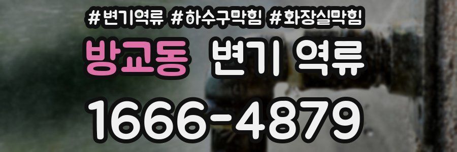 방교동 변기 역류