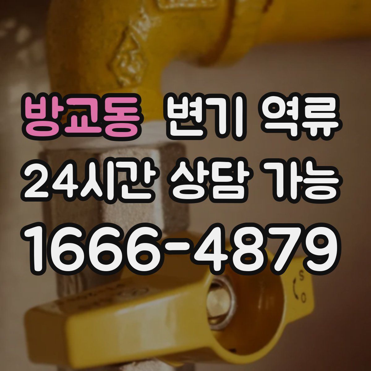 방교동 변기 역류