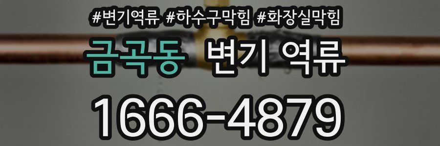 금곡동 변기 역류