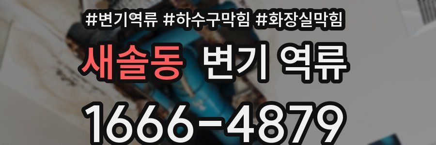 새솔동 변기 역류