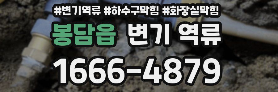 봉담읍 변기 역류