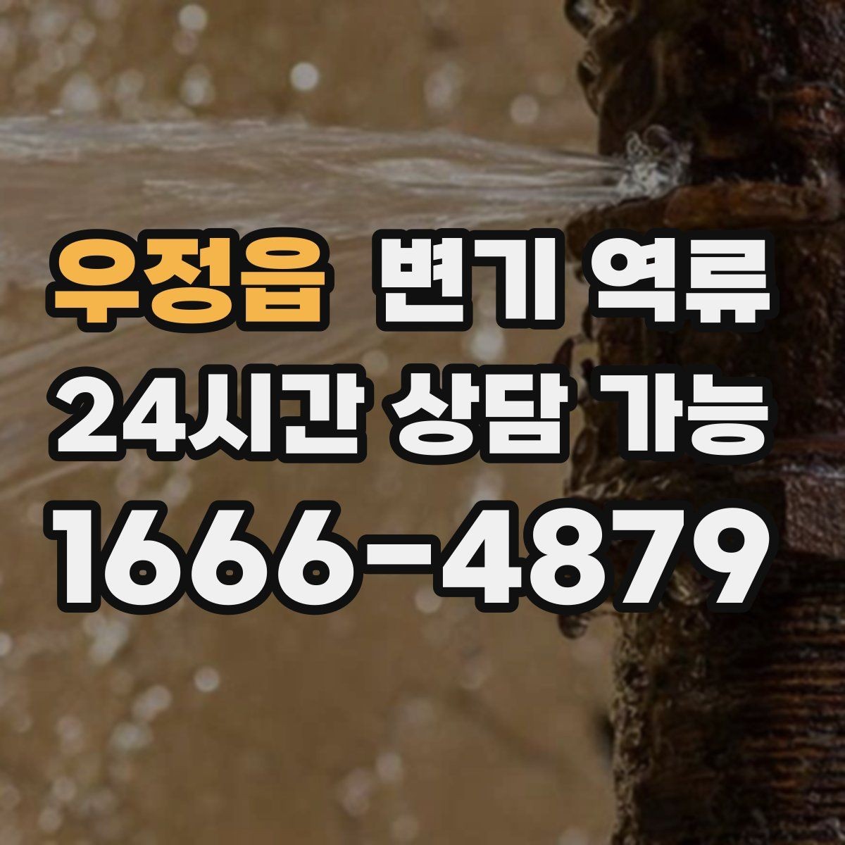 우정읍 변기 역류 변기솔 캡 같은 플라스틱이 막힐 때 증상