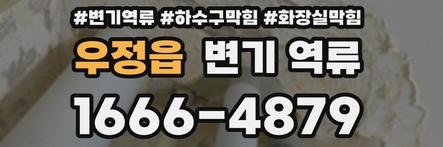 우정읍 변기 역류