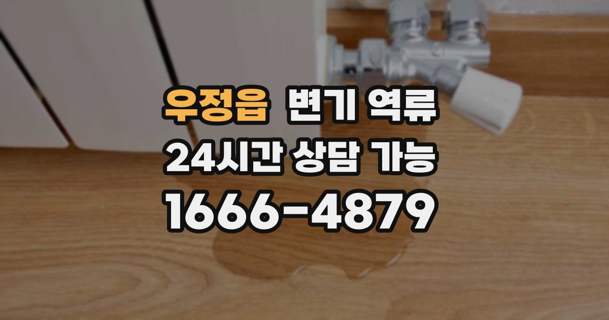 우정읍 변기 역류