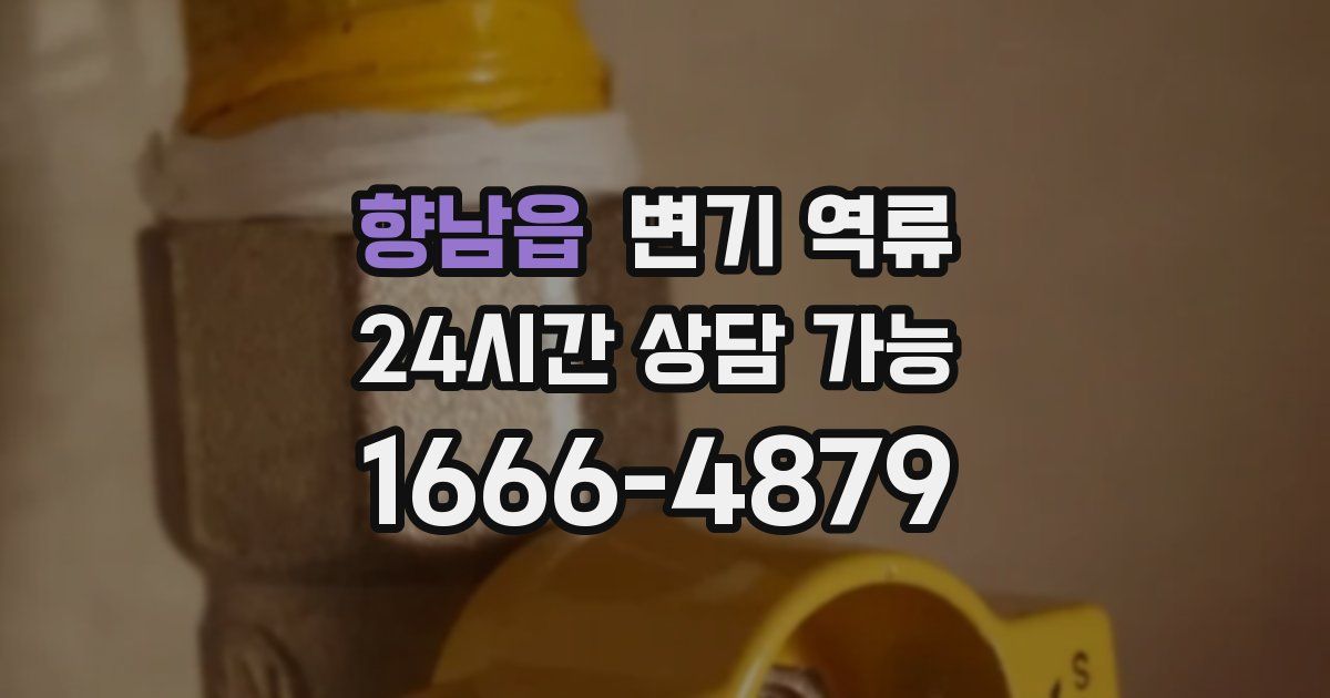 향남읍 변기 역류