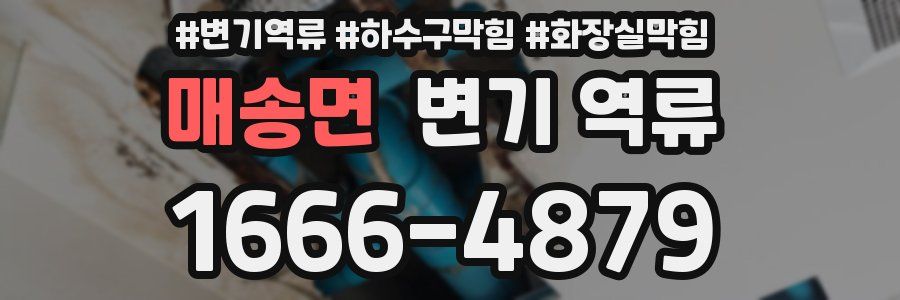 매송면 변기 역류