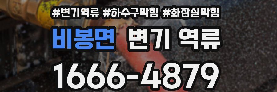 비봉면 변기 역류