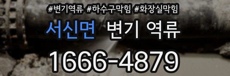서신면 변기 역류