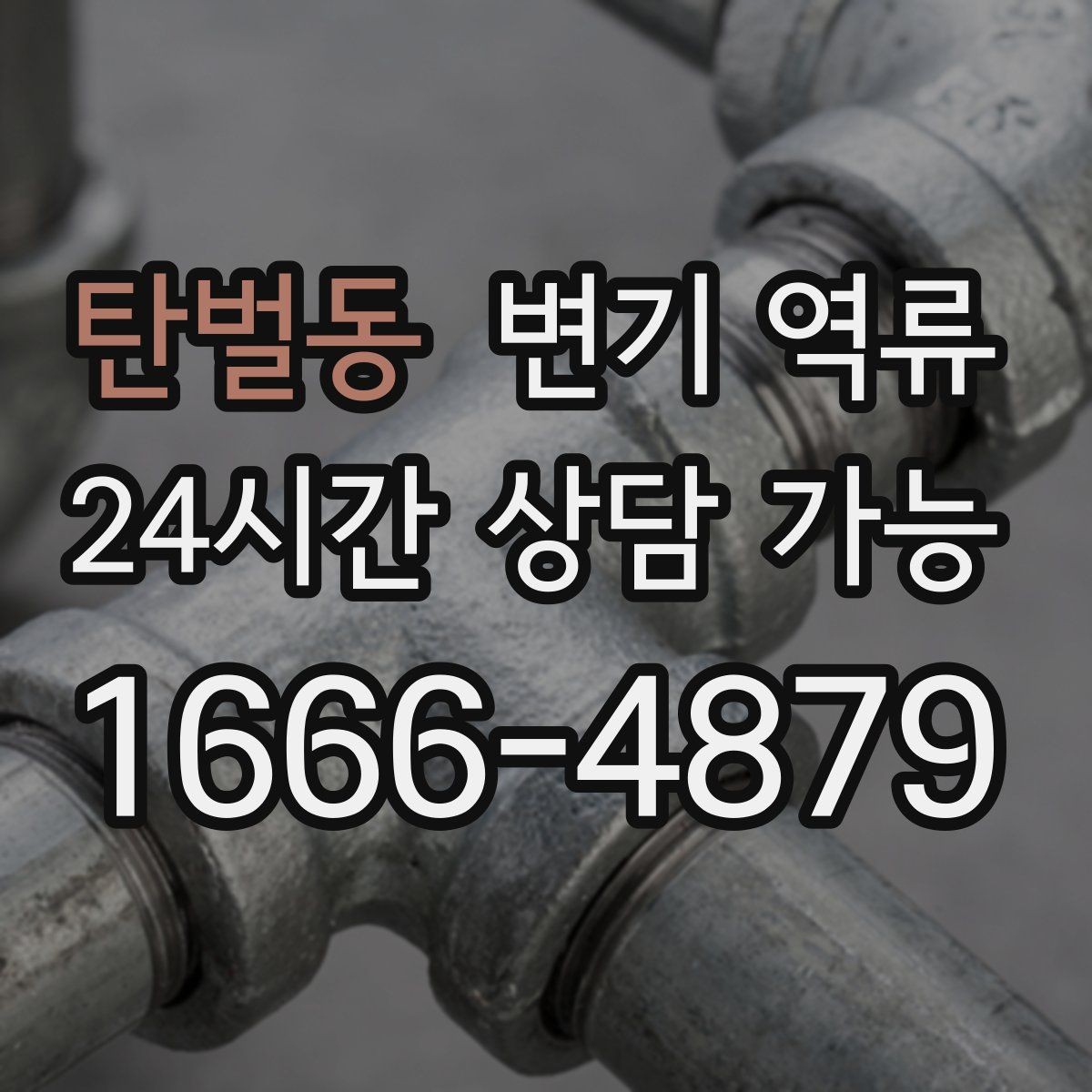 탄벌동 변기 역류 냄새가 며칠 전부터 강해졌다면 체크할 것