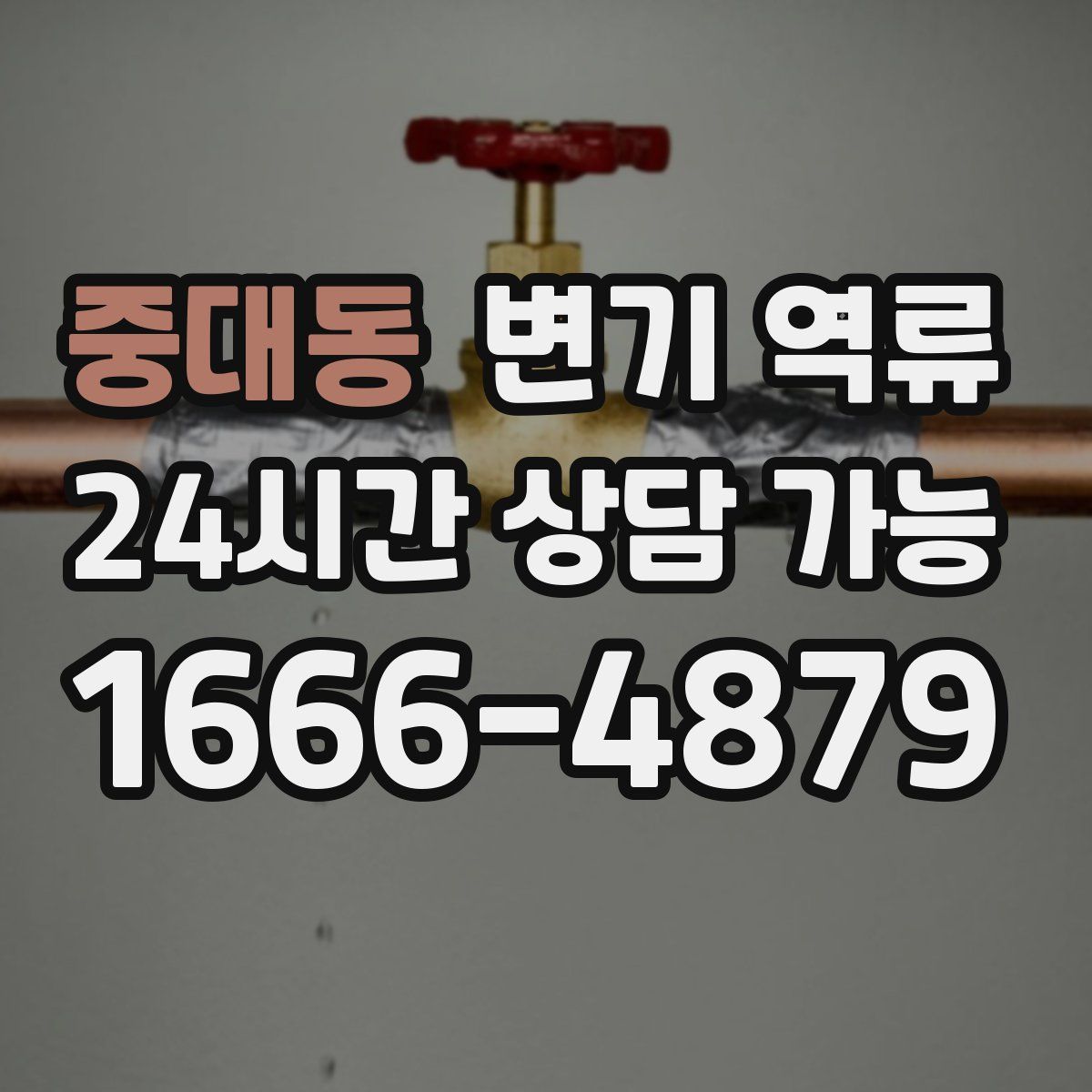 중대동 변기 역류