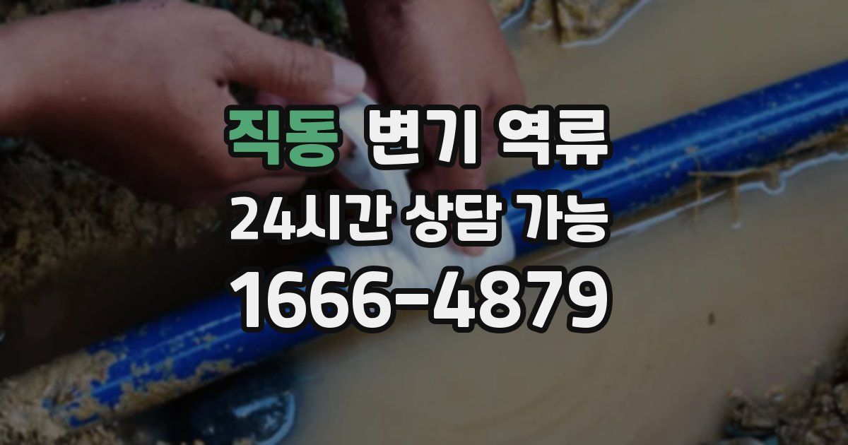 직동 변기 역류