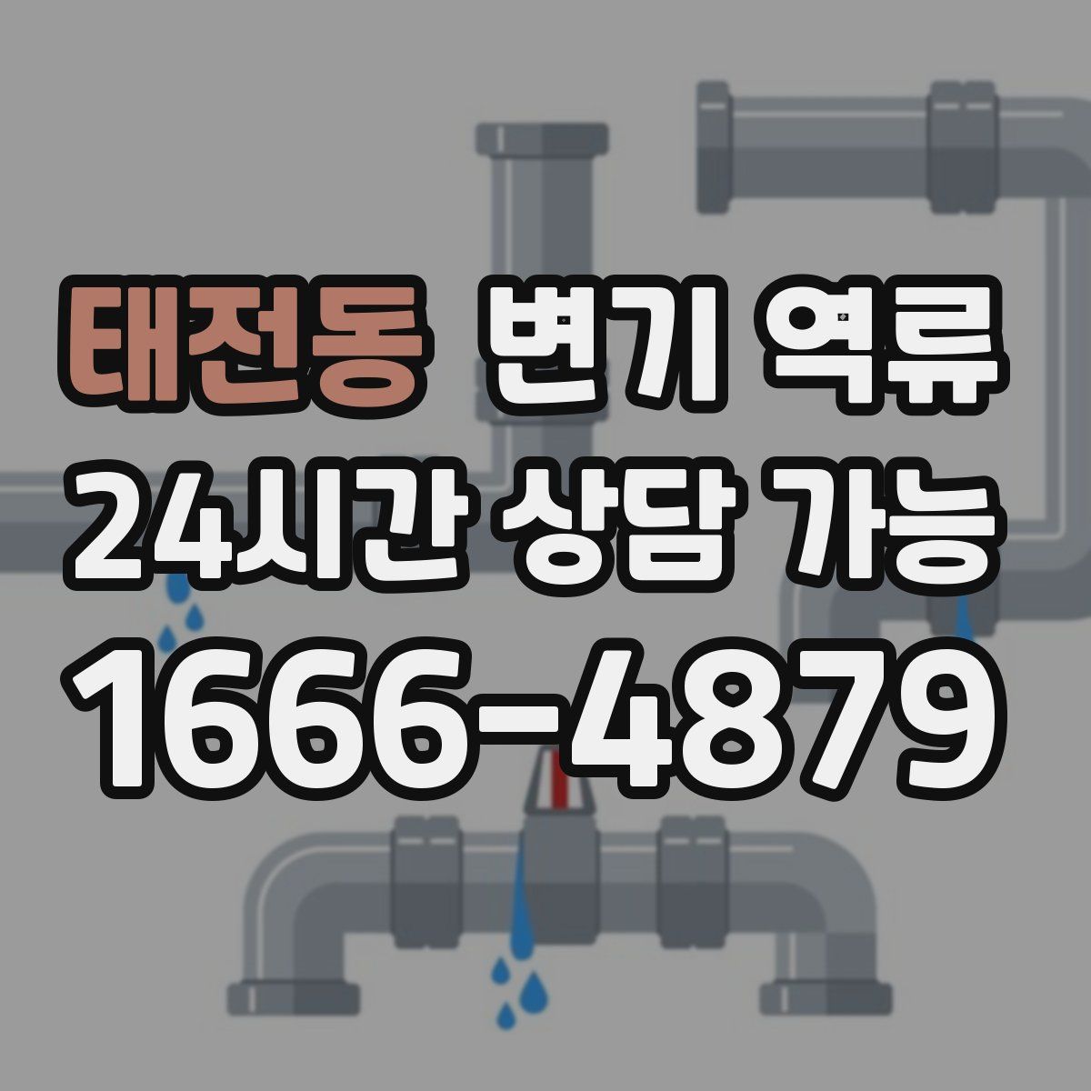 태전동 변기 역류