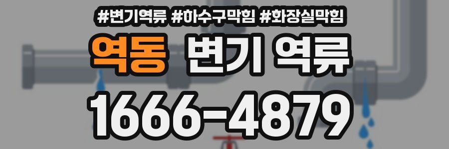 역동 변기 역류