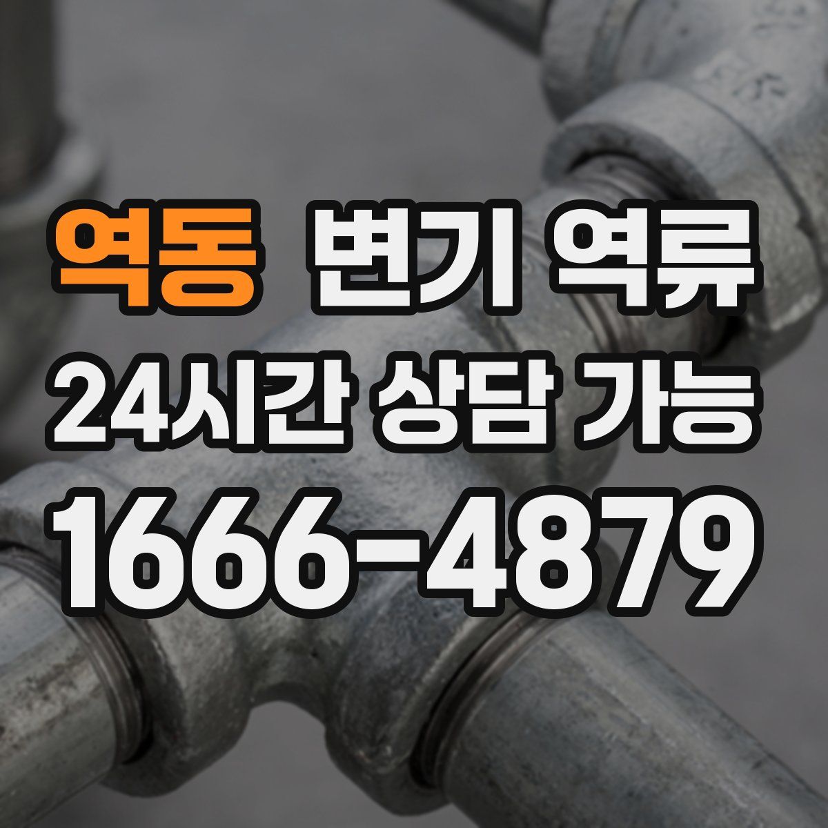 역동 변기 역류