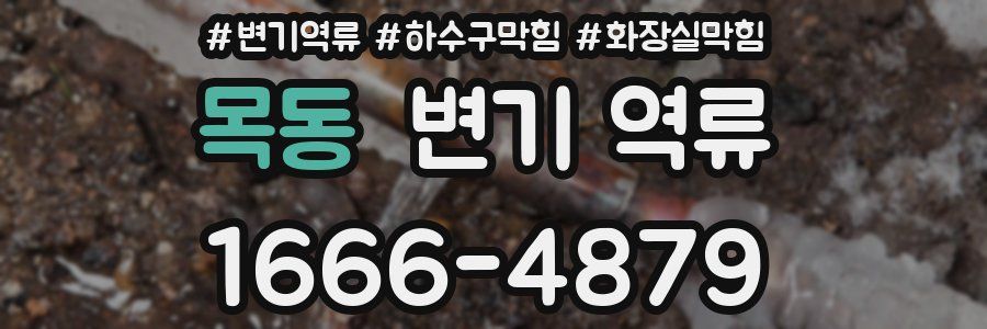 목동 변기 역류