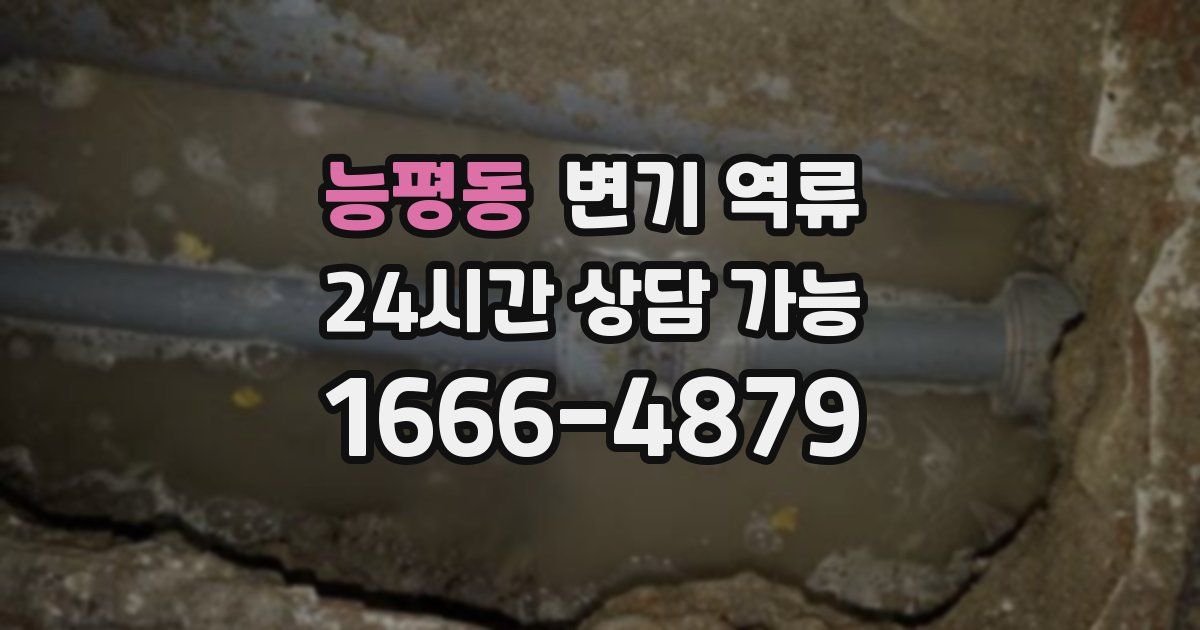 능평동 변기 역류