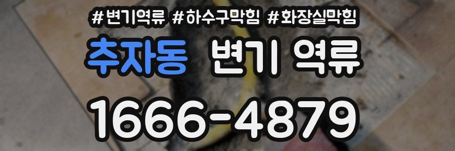 추자동 변기 역류