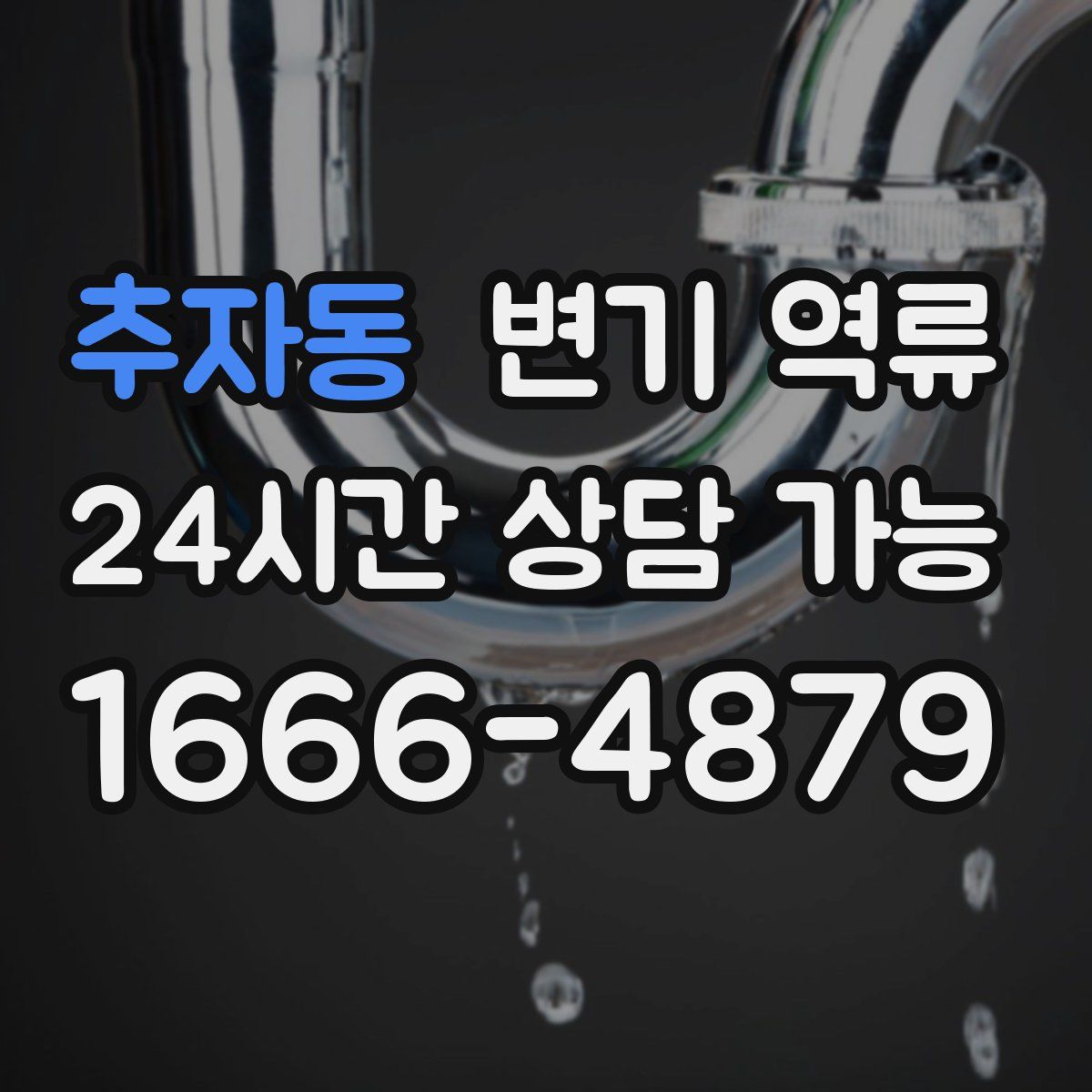 추자동 변기 역류